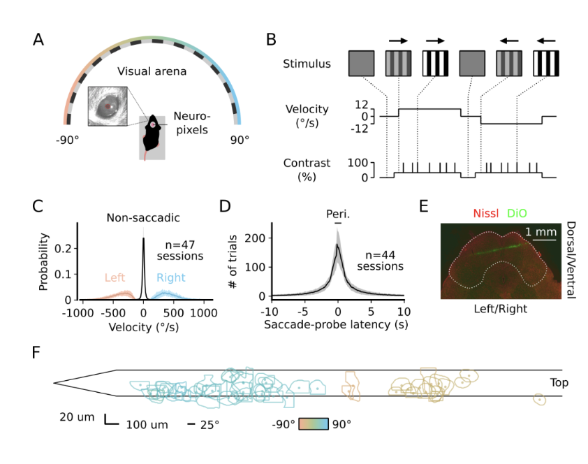 Hunt et al. 2025