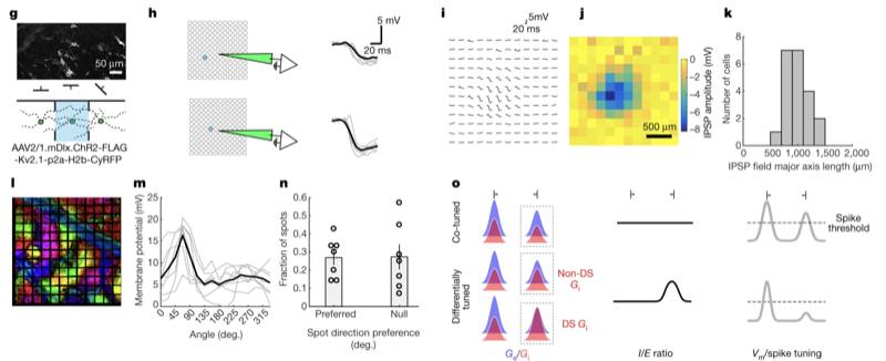Wilson et al. 2018